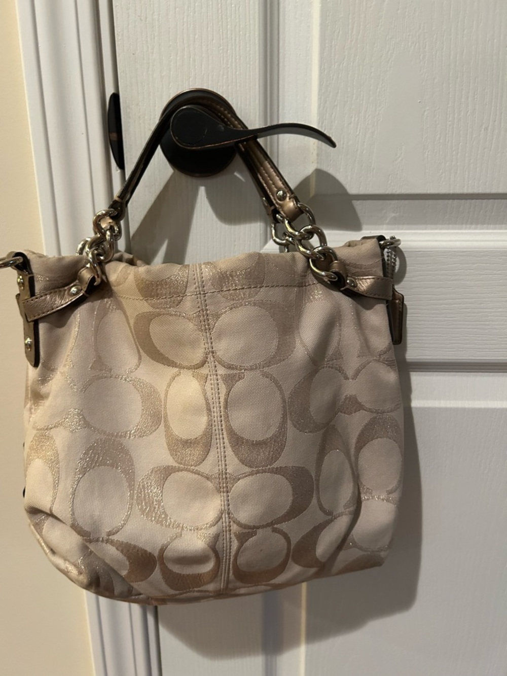 ✨Stunning Metallic Coach Brooke Signature Hobo✨